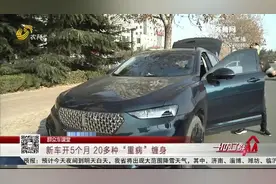 滨州：买长城魏派SUV半年20多种故障 4S店：这是全国独一份图片