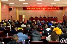 娄底市游泳协会成立 罗宇当选首届会长图片