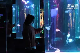 商场里的博物馆：文旅融合大旗引领消费购物新模式视频封面