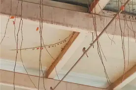麻雀寒冬抱窝生下3只小宝宝图片