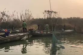 百元一斤的鳜鱼最肥美！余杭三白潭水库冬捕开始，“浪里白条”显身手图片