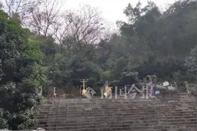 瘆人！柳石路这小区后山惊现一具白骨，旁边树上留着段绳子图片
