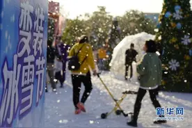 厦门同安：南方的艳阳里“大雪”纷飞图片