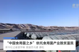 “中国食用菌之乡”依托食用菌产业脱贫富民视频封面