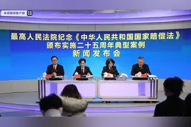 “当赔则赔”！最高法发布25件国家赔偿典型案例图片