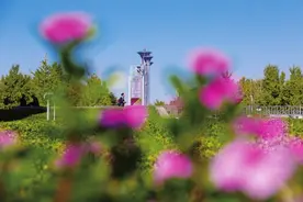 北京最美5路公交线图片