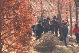 游客暴增！垃圾遍地！昆明这个网红打卡地，拉起了隔离栏图片