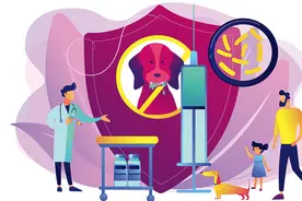 每年约4000万人被猫狗咬伤！急诊专家教你预防狂犬病