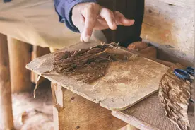 长城故事会 ▏茄人茄话③：选料大师杨凯而“伟大的东方之手”图片