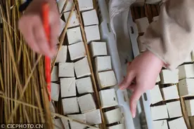 贵州黔西：“霉豆腐”香飘迎新年图片