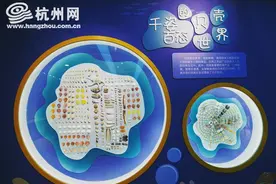 让儿童在人类文明发展史中学习——“贝类王国”、“小小理财家”落户上城区的一所小学图片