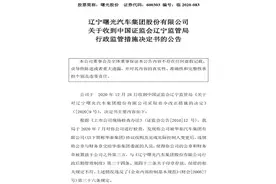 曙光股份遭辽宁证监局行政监管 大股东所持全部股权再遭司法轮候查封图片