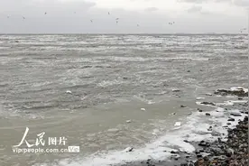 强寒潮来袭 大连海水大面积结冰图片