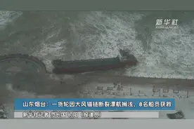山东烟台：一货轮因大风锚链断裂漂航搁浅  8名船员获救视频封面