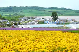 村民变股民 敦化雁鸣湖镇小山嘴子村296户村民喜领股权证图片