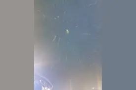 上海下雪啦！嘉定、崇明雪花已很大，嘉定发布暴雪蓝色预警图片