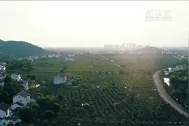 农村新事｜奔向更好的日子视频封面