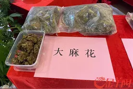 今年广州禁毒部门侦破毒品案超千宗，缴获毒品1.3吨图片