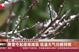 安徽：多地降雪  暴雪蓝色预警发布视频封面