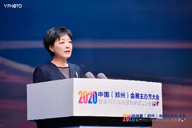 王洪波：新格局下郑州会展业的机遇与展望图片