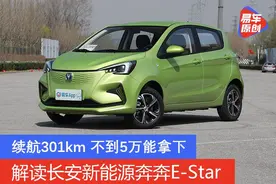 续航301km 不到5万能拿下 解读长安新能源奔奔E-Star图片