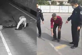 一男一女深夜进驾校考场玩涂鸦？民警介入调查，原来是驾校教练“良苦用心”视频封面