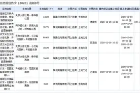 今年济南最后一拍：5宗土地流拍，龙湖底价摘得高新区核心地块图片