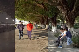 寒潮突袭广州前后温度大对比：24小时内跨越夏冬两季视频封面