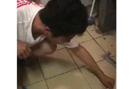 蟑螂！活的！进耳朵了！怎么办……图片