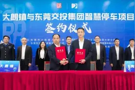 东莞第13个镇街！大朗镇内5304个车位，将纳入统筹整合图片