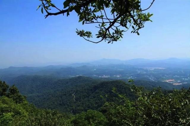 神庙逃亡挖土机（广州一男子偷偷在帽峰山建神庙）