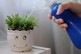 挠痒一时爽，一直挠一直痒，缓解冬季干痒症，保湿润肤才是关键图片