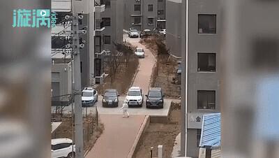 真 · 铠甲勇士