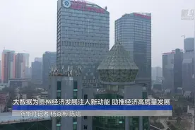 大数据为贵州经济发展注入新动能 助推经济高质量发展视频封面