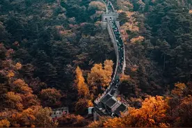 数学到底有多重要？看完秒懂数学的好图片