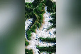 卫星见证，一条路如何改变“高原孤岛”图片