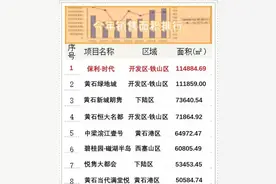 最新！2020黄石楼市卖得最好的楼盘出炉图片