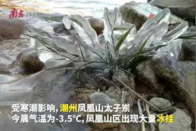 -3.5℃！寒潮之下，潮州凤凰山区现大量冰挂图片