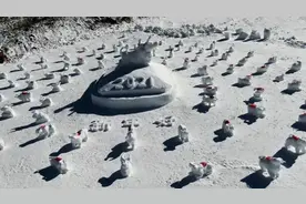 洛阳一滑雪场堆出百个雪牛，拼“百牛献福”迎新年