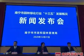 南宁埌东公园已完工，争取尽早开放投入使用图片