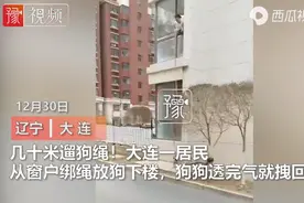 大连隔离居民放长绳在二楼遛狗，狗狗透完气就拽回：不给防疫工作添麻烦图片