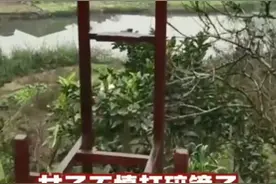 泪目！四川一女子打碎镜子意外发现木匠父亲留言，网友：父爱如山图片