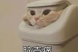 冲上热搜！小学生发明免舔盖酸奶吸管，评论亮了图片