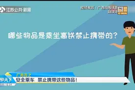 哪些物品乘坐高铁禁止携带？视频动画为你全方位科普视频封面