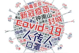 大流行时代的“流行词”：新冠定义2020图片