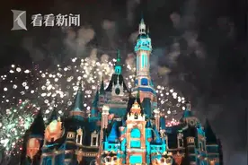 点亮新一年！上海迪士尼上演特别版烟花……美哭了图片