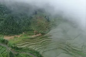幸福的味道｜老林的第一次村庄演出图片
