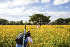 在最好的时节，约会呵叻府图片