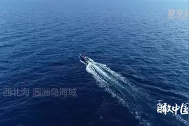 瞰中国|海之蓝 鲸之“舞”视频封面