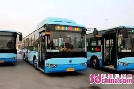 1月1日起 潍坊60周岁（含）以上老年人免费乘公交图片